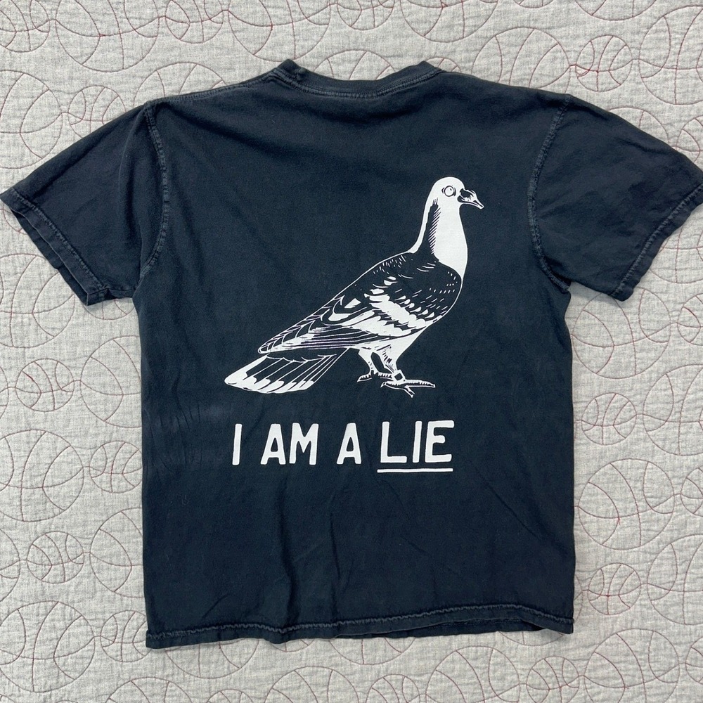 Comfort Colors Graphic T-Shirt Black Birds Aren't Real Pigeon / Men's Medium